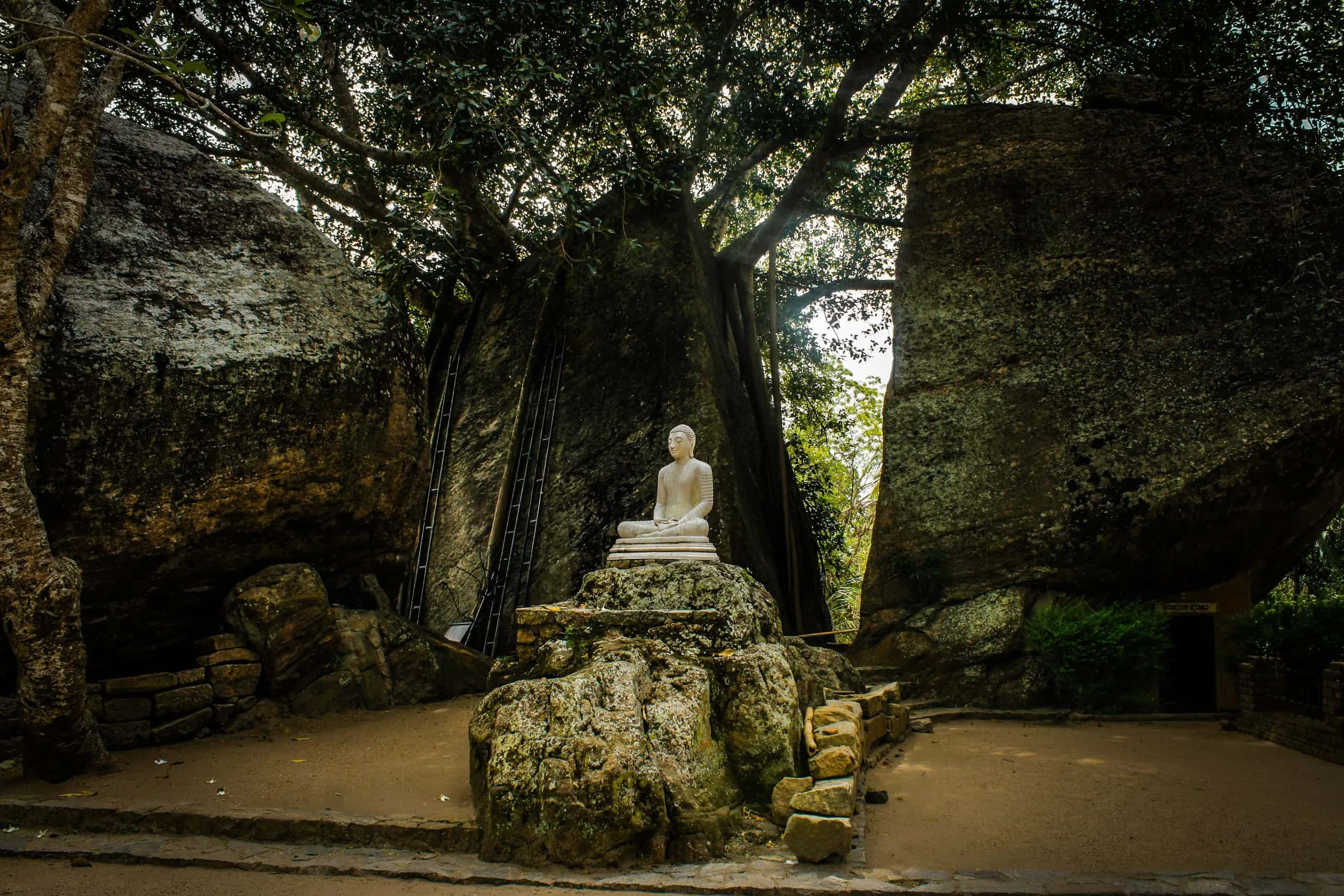A white Buddha statue in a forest shrine between rock boulders
