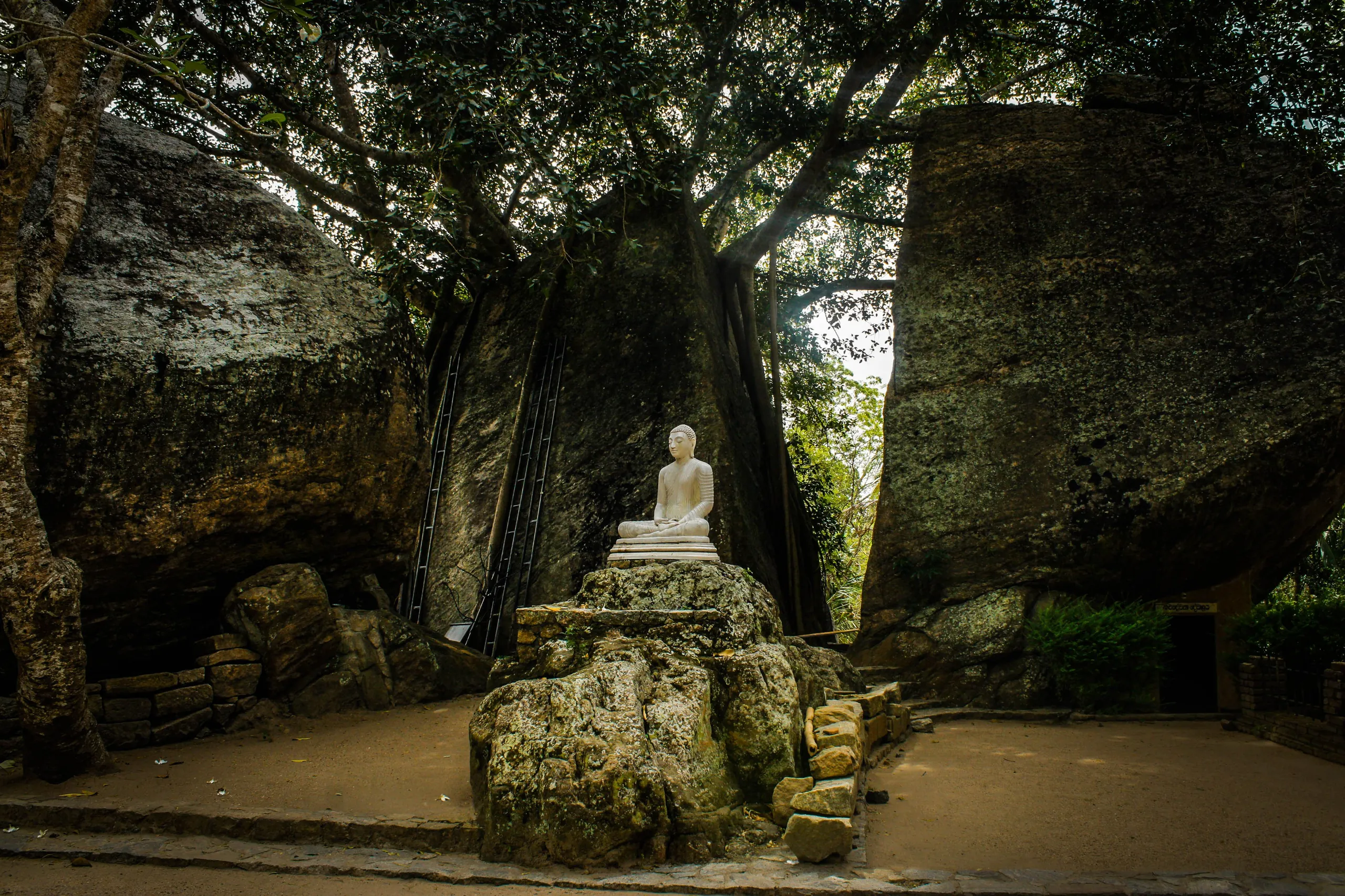 A white Buddha statue in a forest shrine between rock boulders